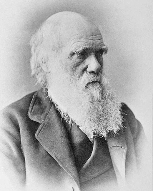 Scientist Charles Robert Darwin Glossy Magnet Evolution Magnet