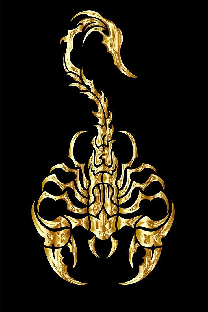 Scorpion And Skull Animal Back Painting Print Jigsaw Puzzle