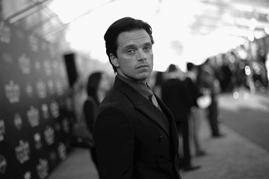 Sebastian Stan American Cinema Actor Famous Artist Jigsaw Puzzle