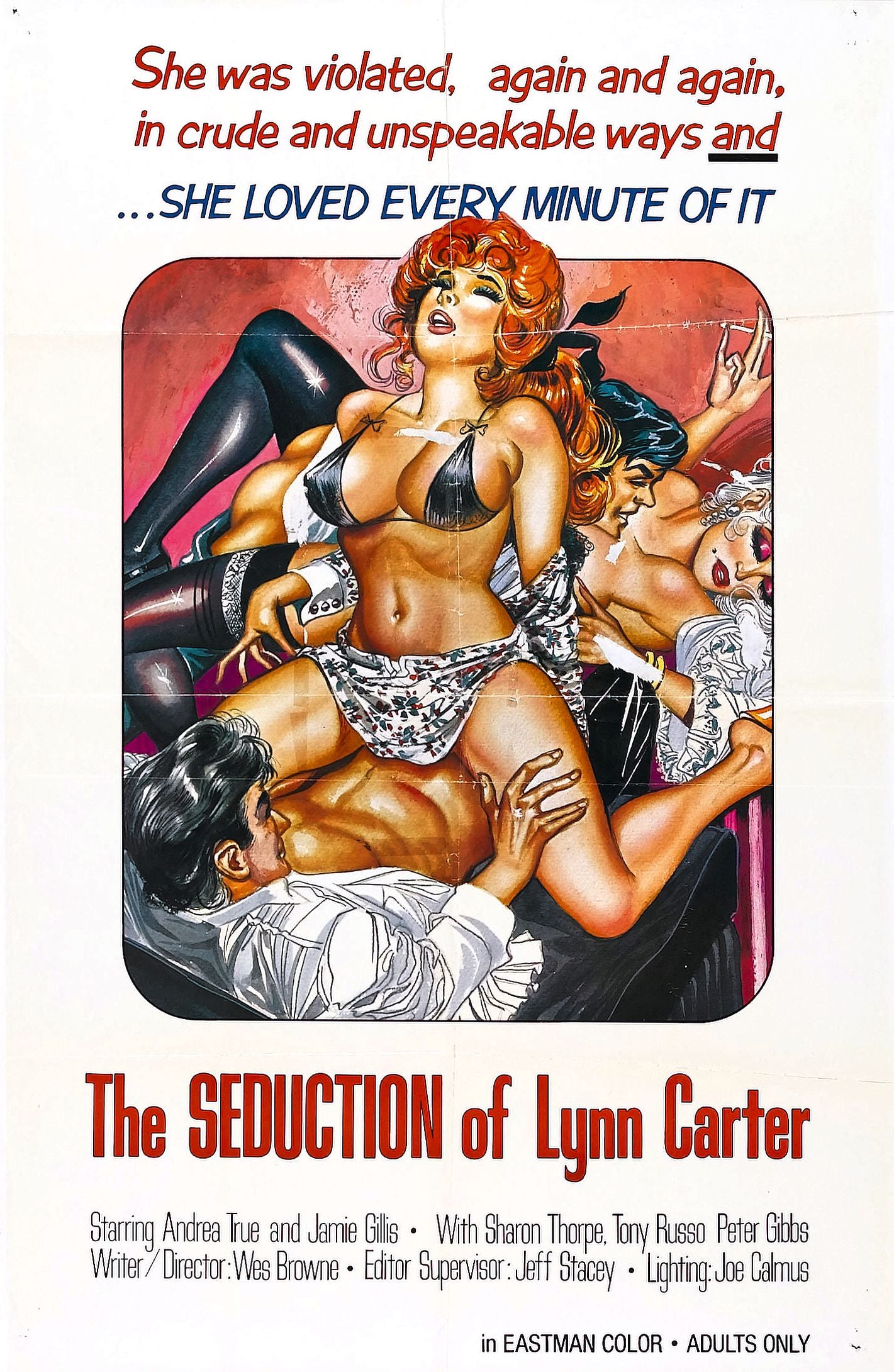 Seduction Of Lynn Carter 01 Movie Magnet