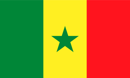 Senegal Flag Jigsaw Puzzle