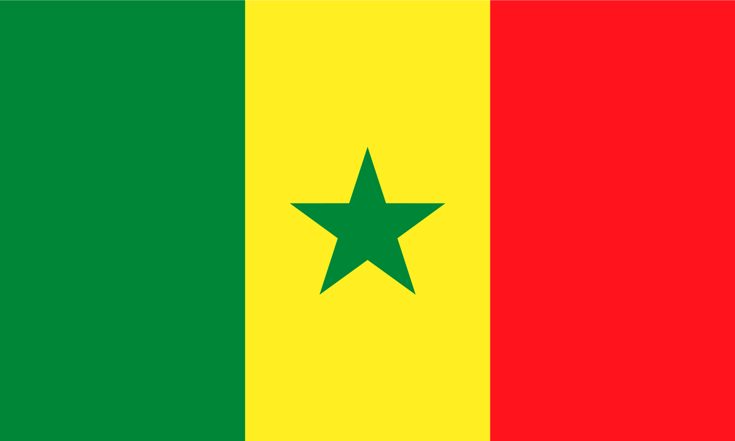 Senegal Flag Keychain
