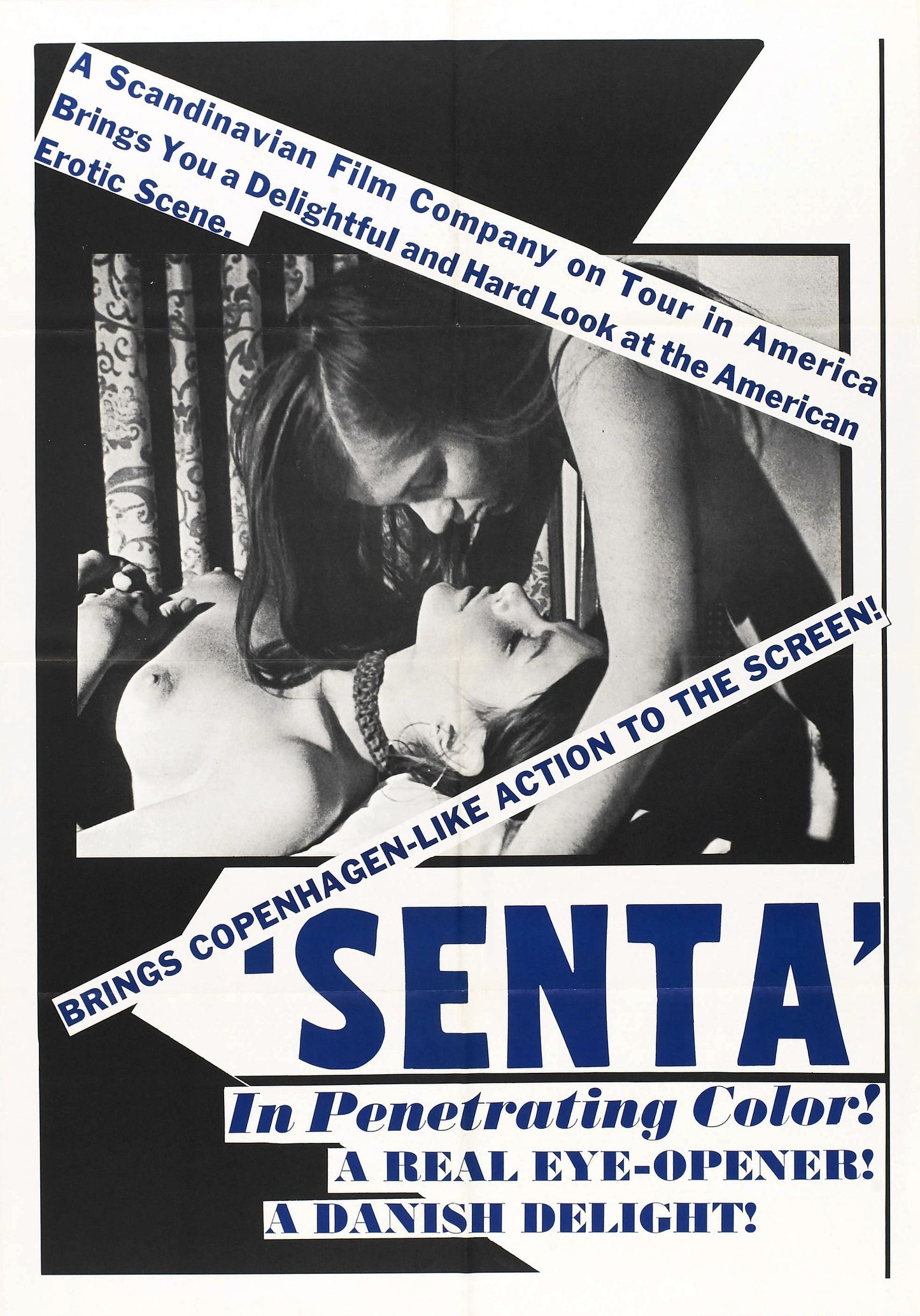 Senta Danish Pastry 01 Movie Magnet