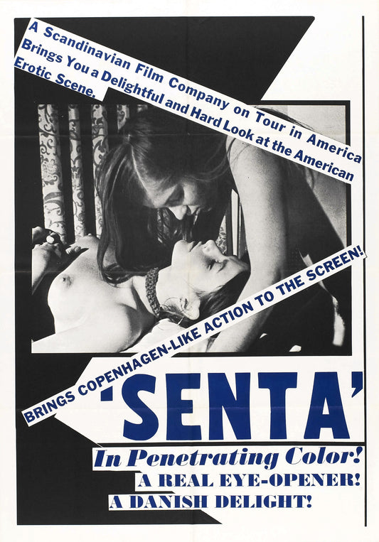 Senta Danish Pastry 01 Movie Magnet