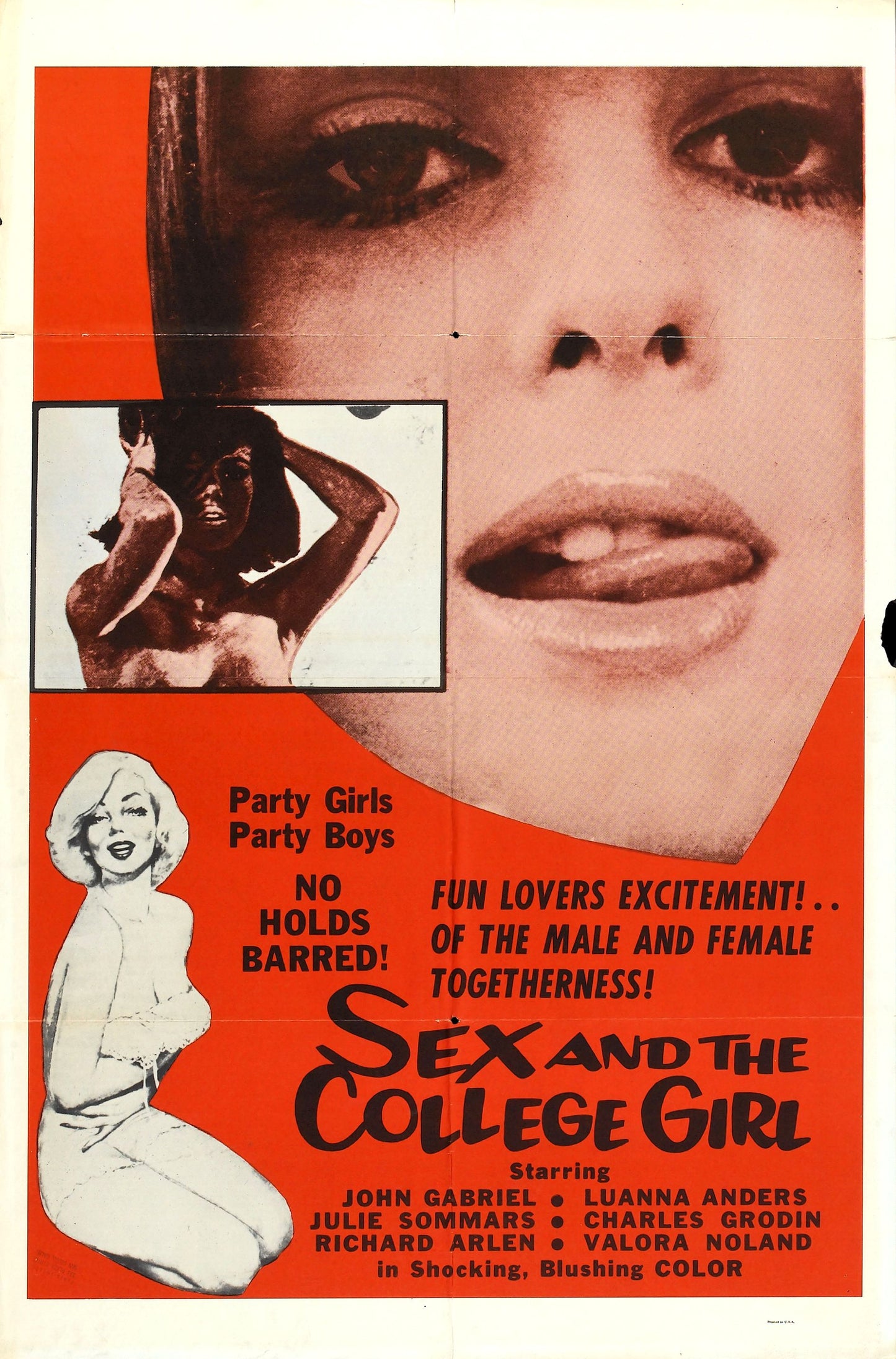 Sex And College Girl 01 Movie Magnet