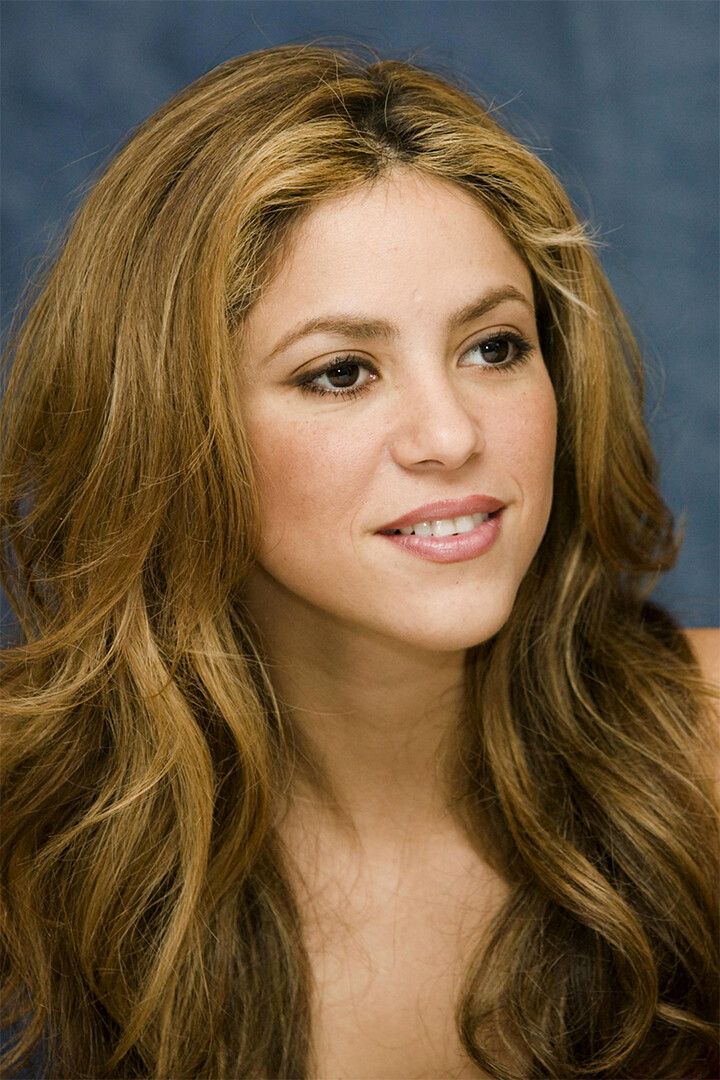 Shakira Celebrity Musician Record Producer Jigsaw Puzzle