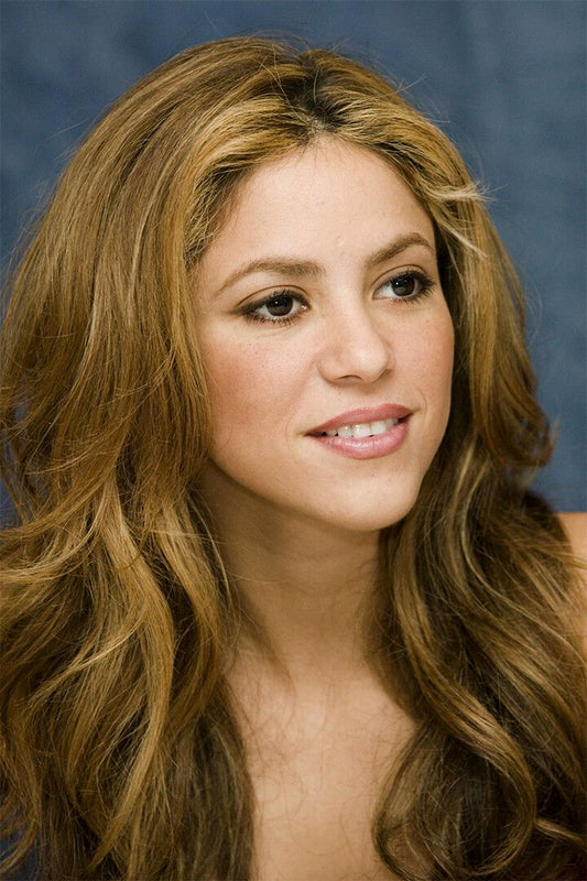 Shakira Celebrity Musician Record Producer Jigsaw Puzzle