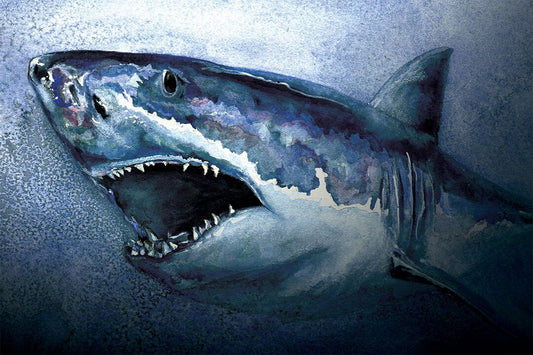 Shark Artistic Drawings Picture Chart Animals Art Jigsaw Puzzle