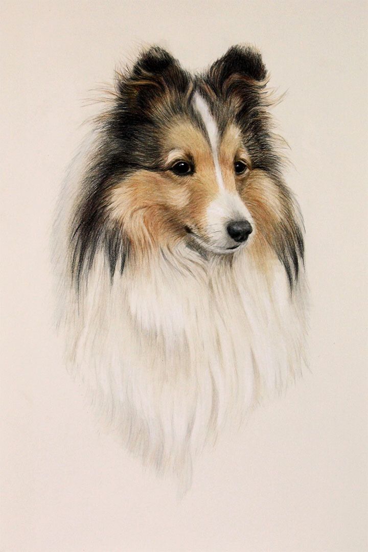 Sheltie Sunflower Dog Breed Small Animal Painting Jigsaw Puzzle