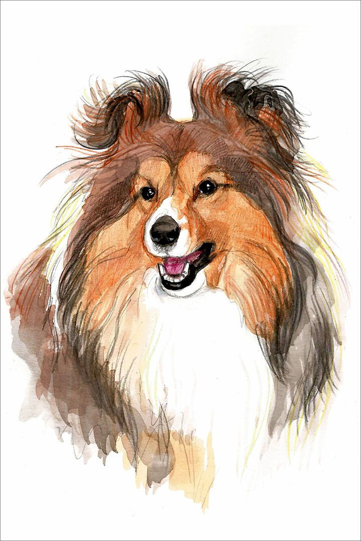 Sheltie Sunflower Picture Dog Breed Small Animal Jigsaw Puzzle