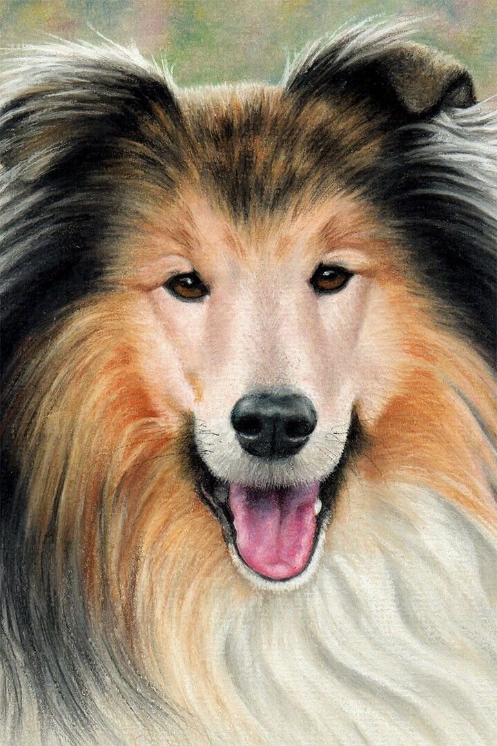 Sheltie Sunflower Small Animal Dog Breed Painting Jigsaw Puzzle