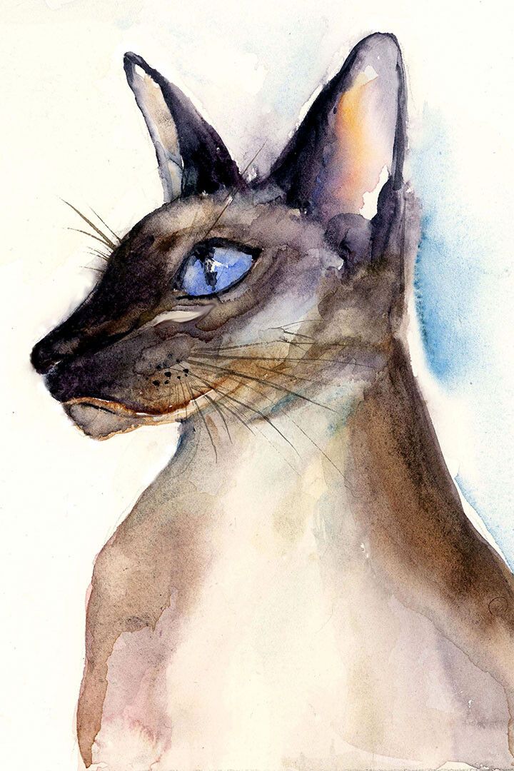 Siamese Cat Drawing Painting Wall Home Decor Jigsaw Puzzle