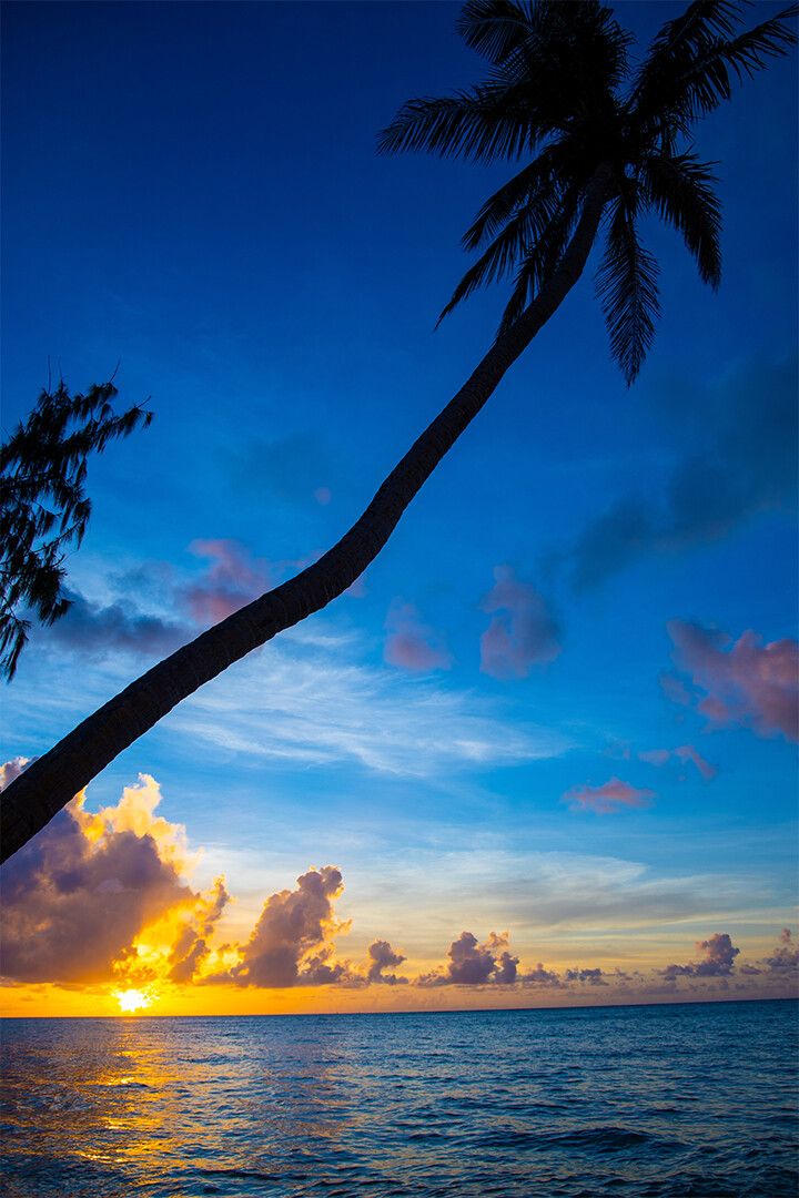 Silhouette Of Coconut Tree At Amazing Sunset Art Wall Decor Jigsaw Puzzle