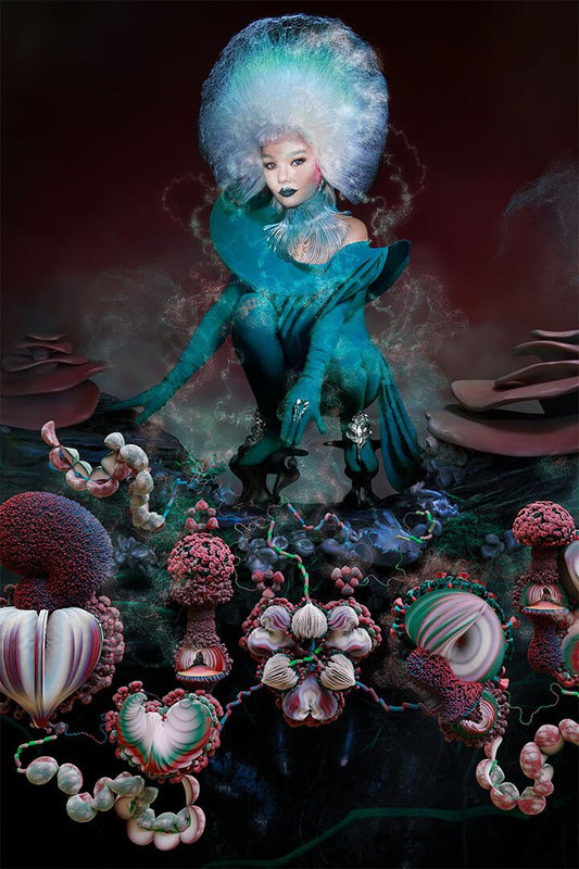 Singer Bjork Gudmundsdottir Fossora Music Album Wall Home Decor Jigsaw Puzzle