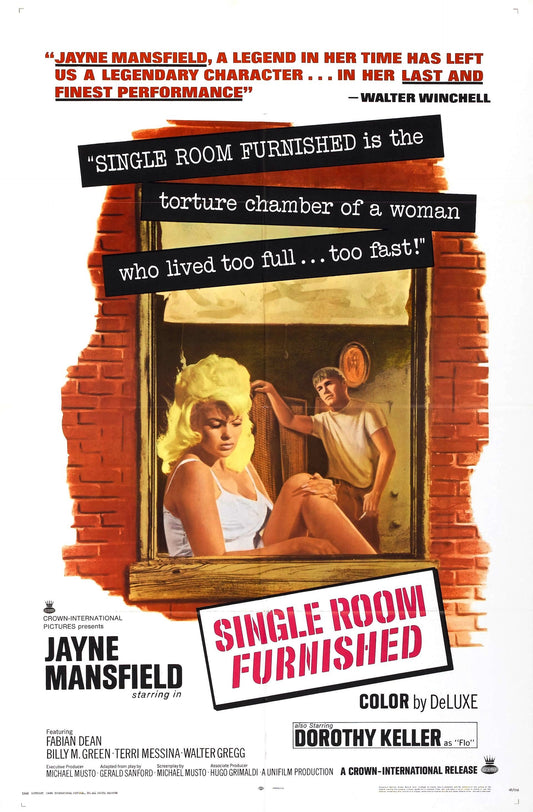Single Room Furnished 01 Movie Magnet