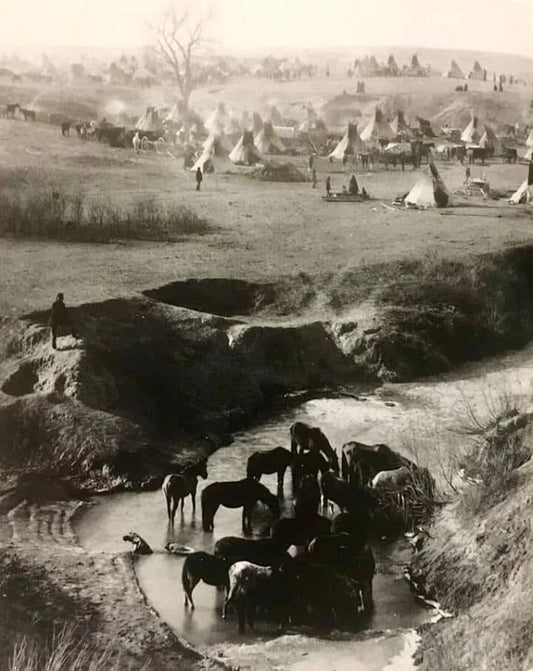 Sioux Village Outside Pine Ridge Reservation 1891 Historic Picture Photo