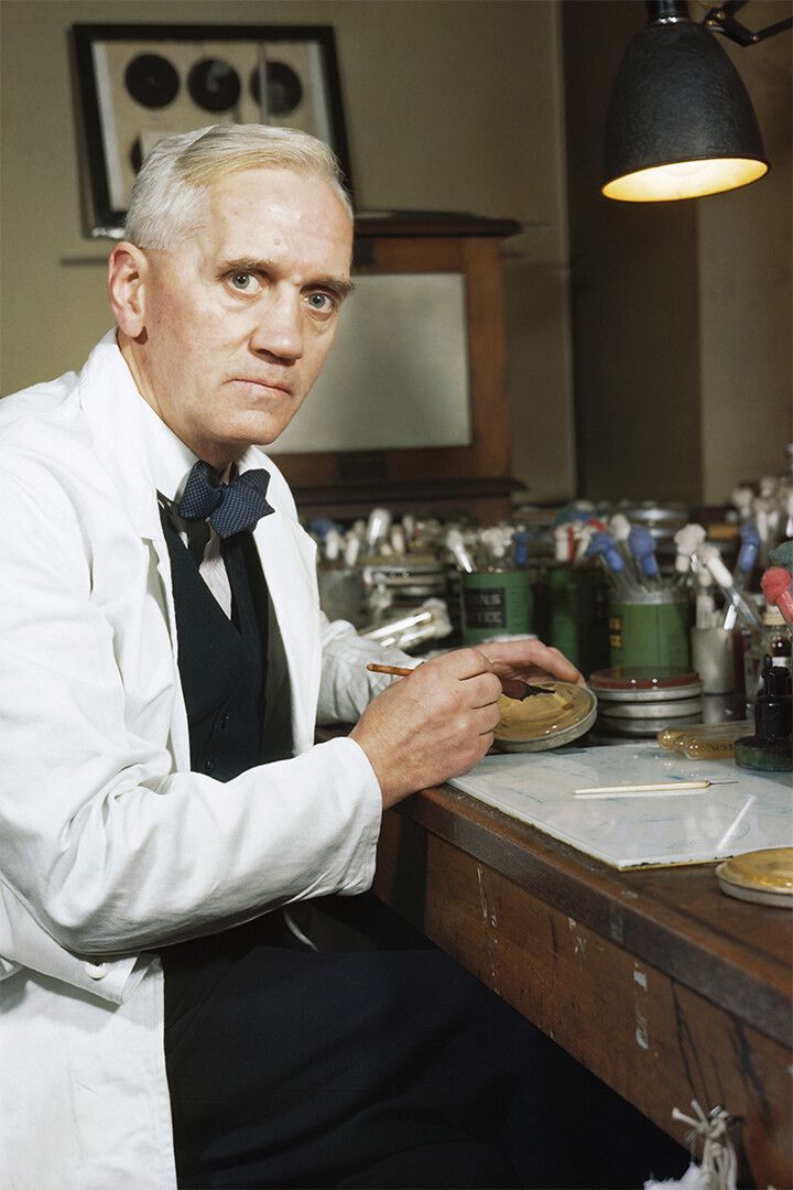 Sir Alexander Fleming Professional Biologist Print Jigsaw Puzzle