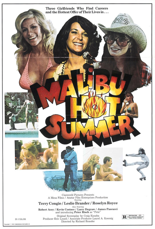 Sizzle Beach Usa 01 Movie Magnet