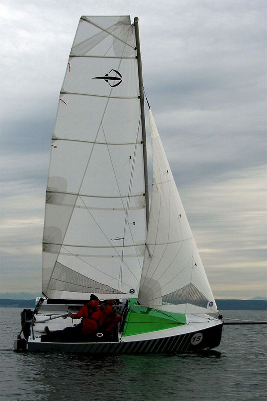 Skate 15 Sailboat Fleet Print Jigsaw Puzzle