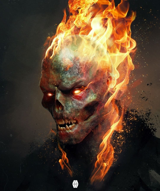 Skull On Fire 9584 Print Poster