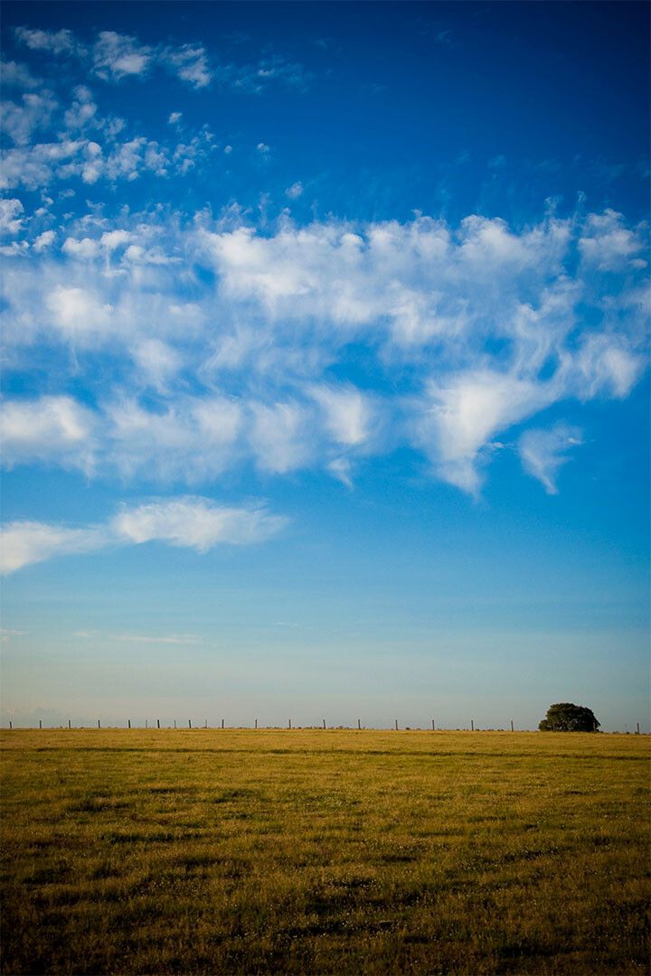 Sky Over Wheat Fields Landscape Jigsaw Puzzlegraph Jigsaw Puzzle