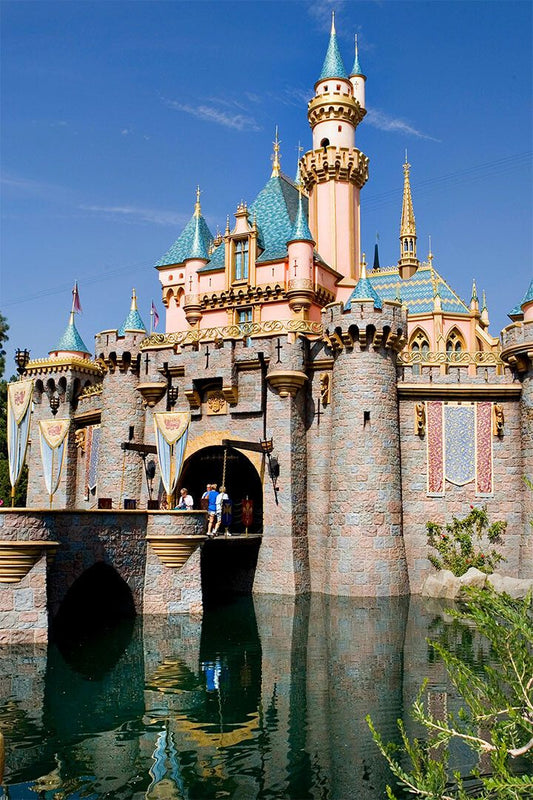 Sleeping Beautys Castle Tale Fantasy Painting Wall Home Decor Jigsaw Puzzle