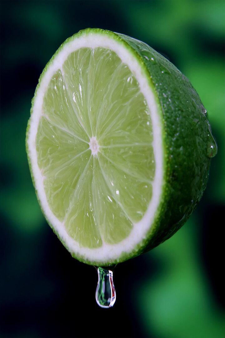 Sliced Lime Green Lemon Art Wall Decor Jigsaw Puzzle