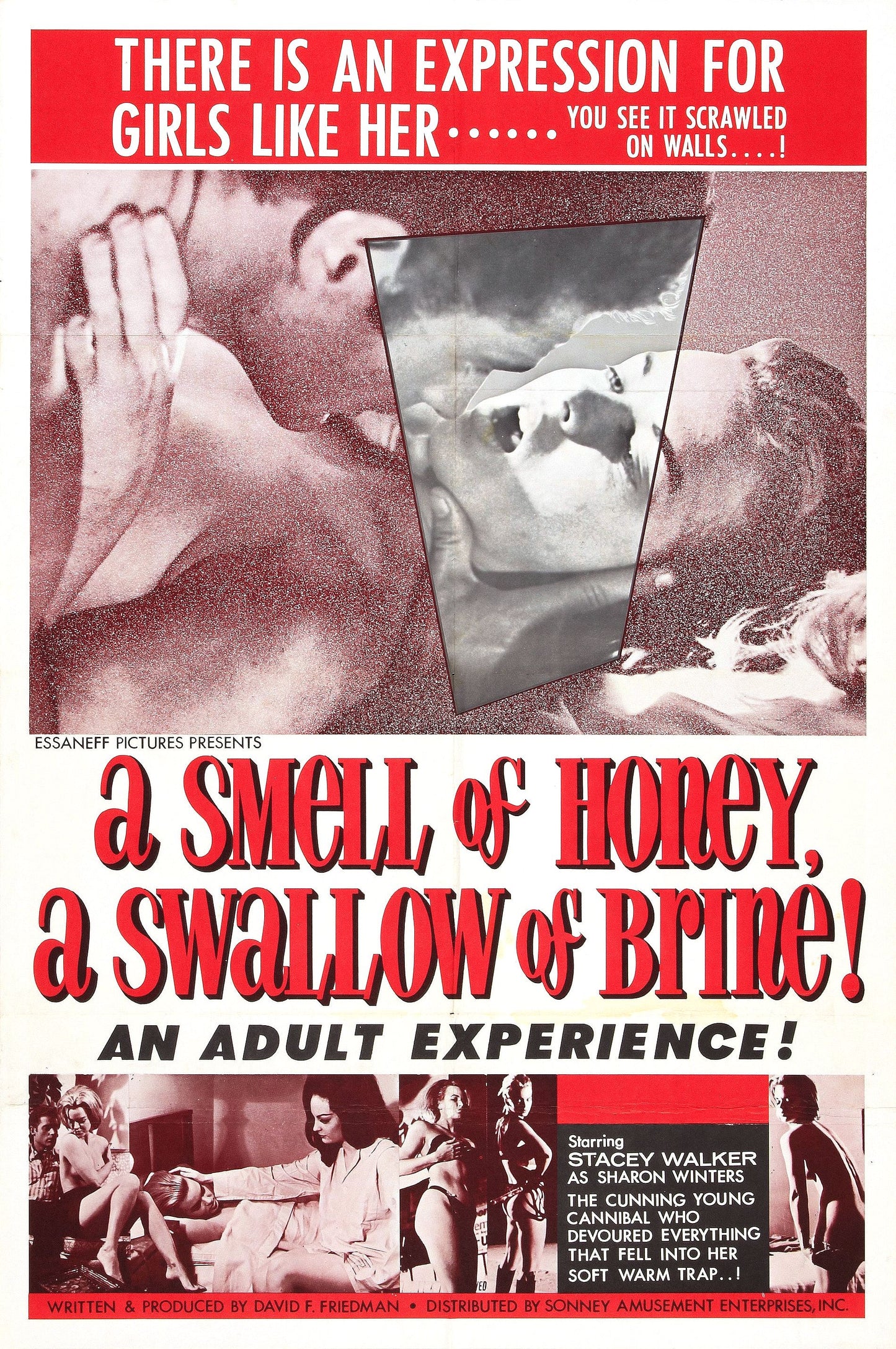 Smell Of Honey Swallow Of Brine 01 Movie Magnet