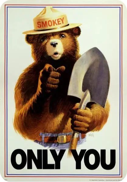 Smokey The Bear Classic Prevent Forrest Fires Classic
