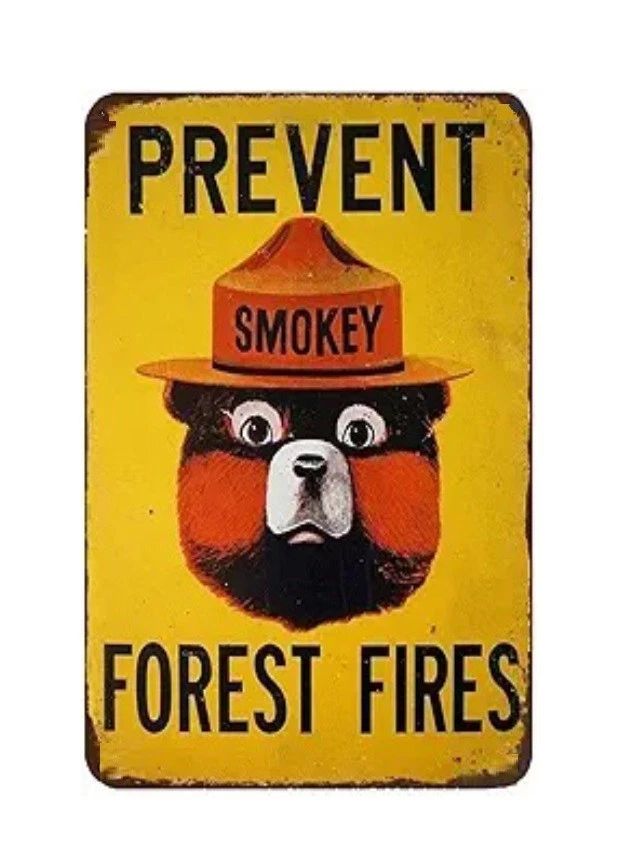 Smokey The Bear Classic Prevent Forrest Fires Retro