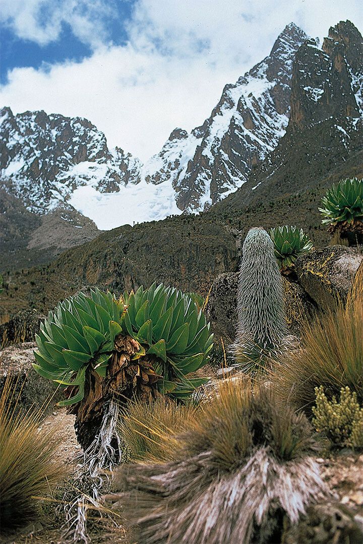 Snowy Mount Kenya Seen From Afar Painting Jigsaw Puzzle