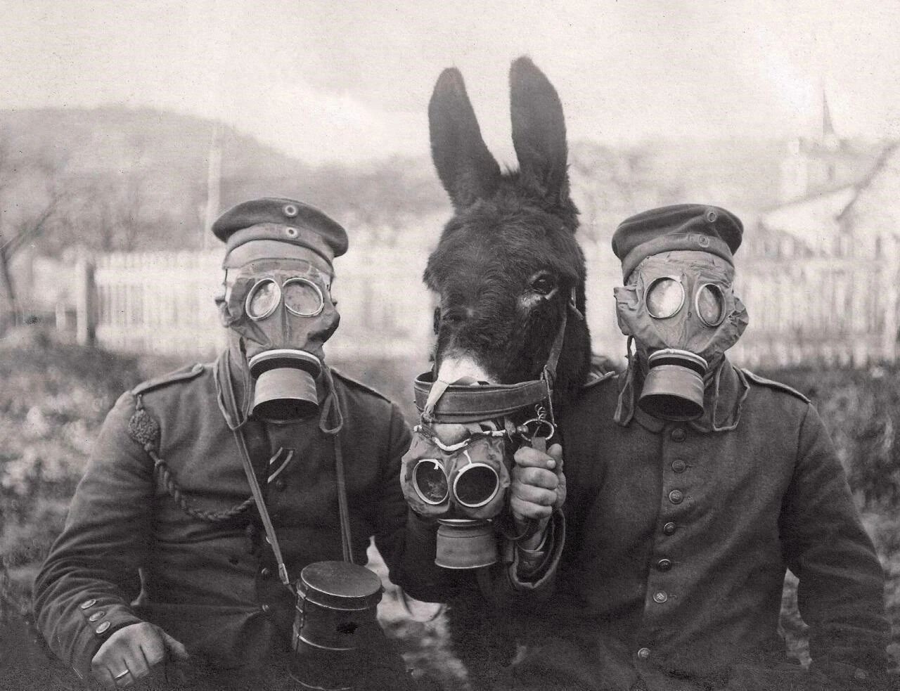 Soldiers And Donkey In Gas Mask World War 1 Classic 300 Piece Jigsaw Puzzle