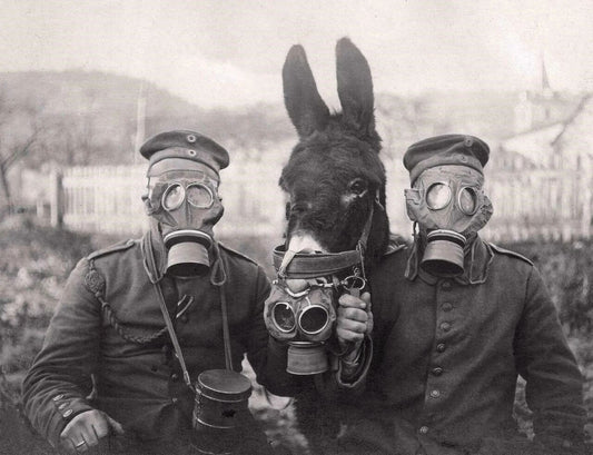 Soldiers And Donkey In Gas Mask World War 1 Classic Picture Keychain Keychain
