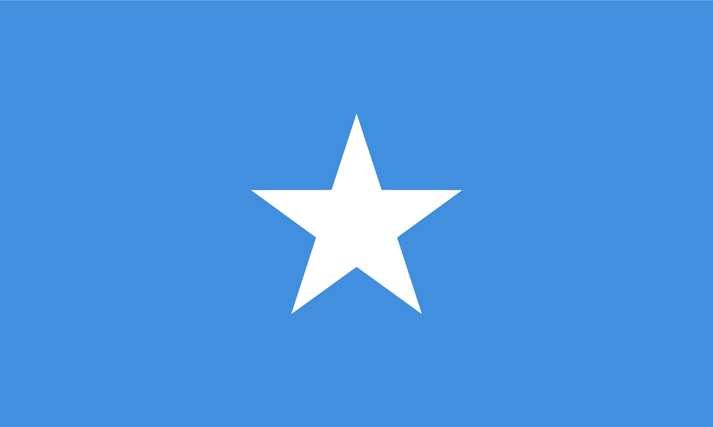 Somalia Flag Print Poster