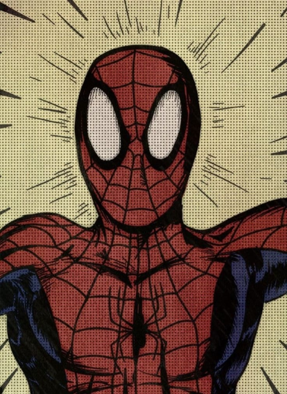 Spider Man 738 Print Poster