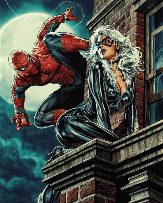 Spider Man And Black Cat Night Scene Print Poster