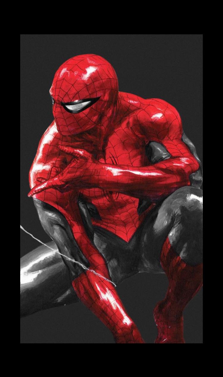 Spider Man Artwork (4) Print Poster