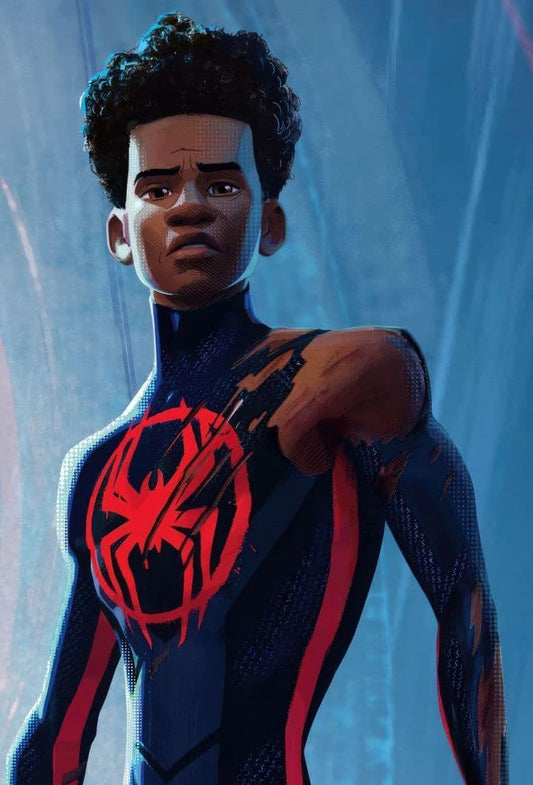 Spider Man Character Artwork Print Poster