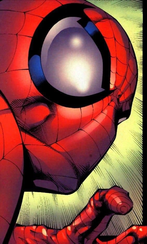 Spider Man Closeup Print Poster