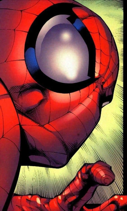 Spider Man Closeup Print Poster