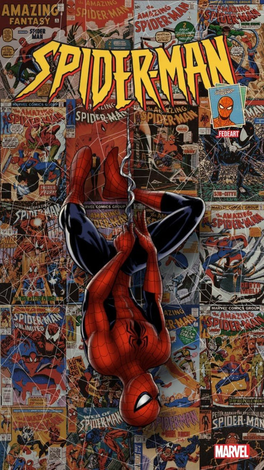 Spider Man Comic Art Collage Print Poster