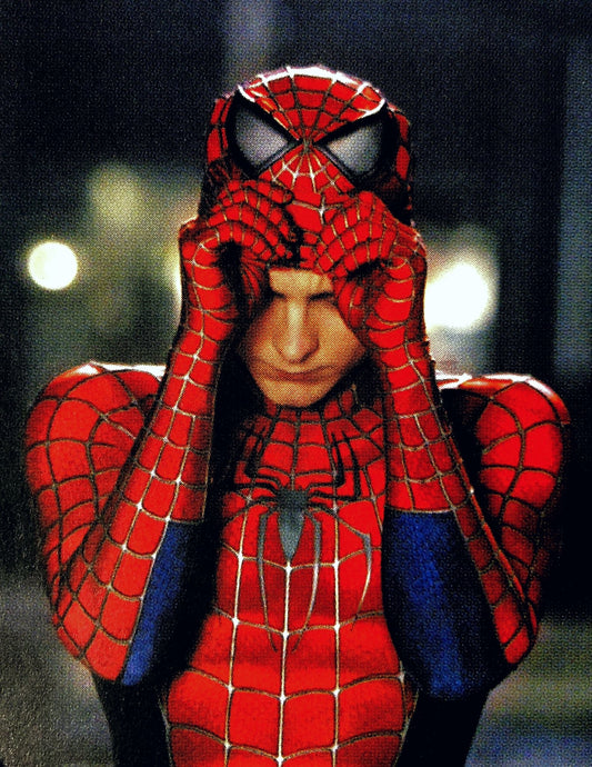 Spider Man Emotional Moment Print Poster