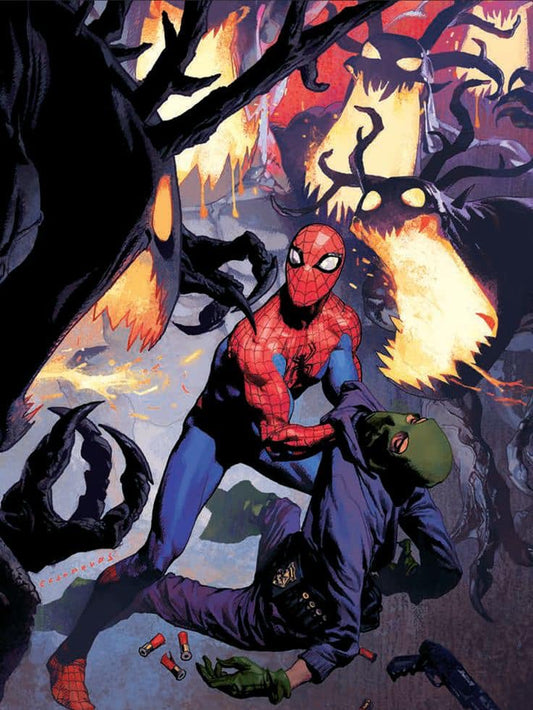 Spider Man Fighting Green Goblin Print Poster