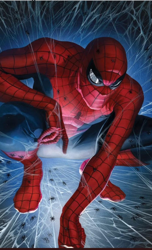 Spider Man In Web Print Poster