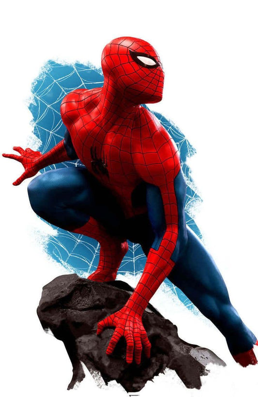 Spider Man Posing On Rock Print Poster