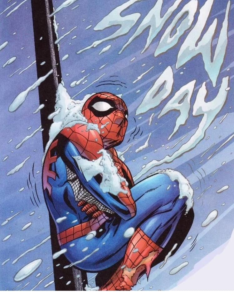 Spider Man Snow Day Print Poster