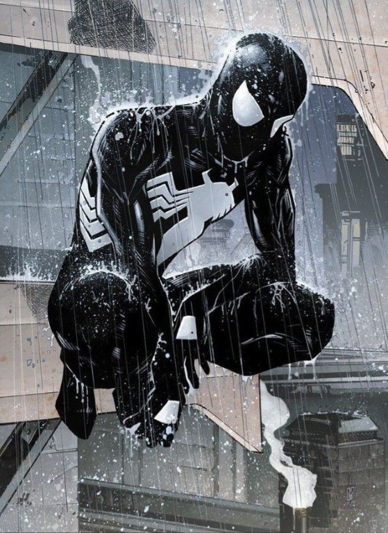 Spider Man Black Suit 2048 Print Poster