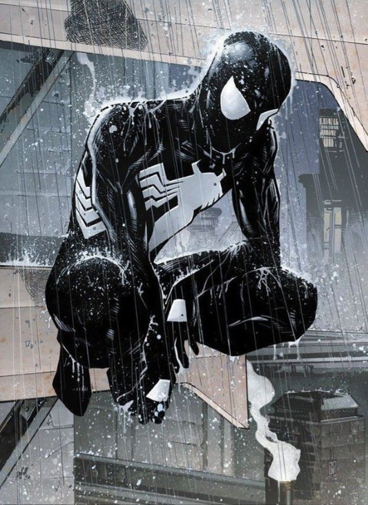 Spider Man Black Suit 2048 Print Poster