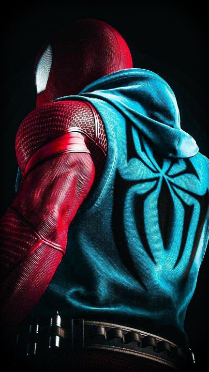 Spider Man Hoodie Costume 5392 Print Poster