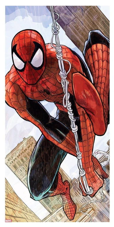 Spider Man Swinging 101 Print Poster